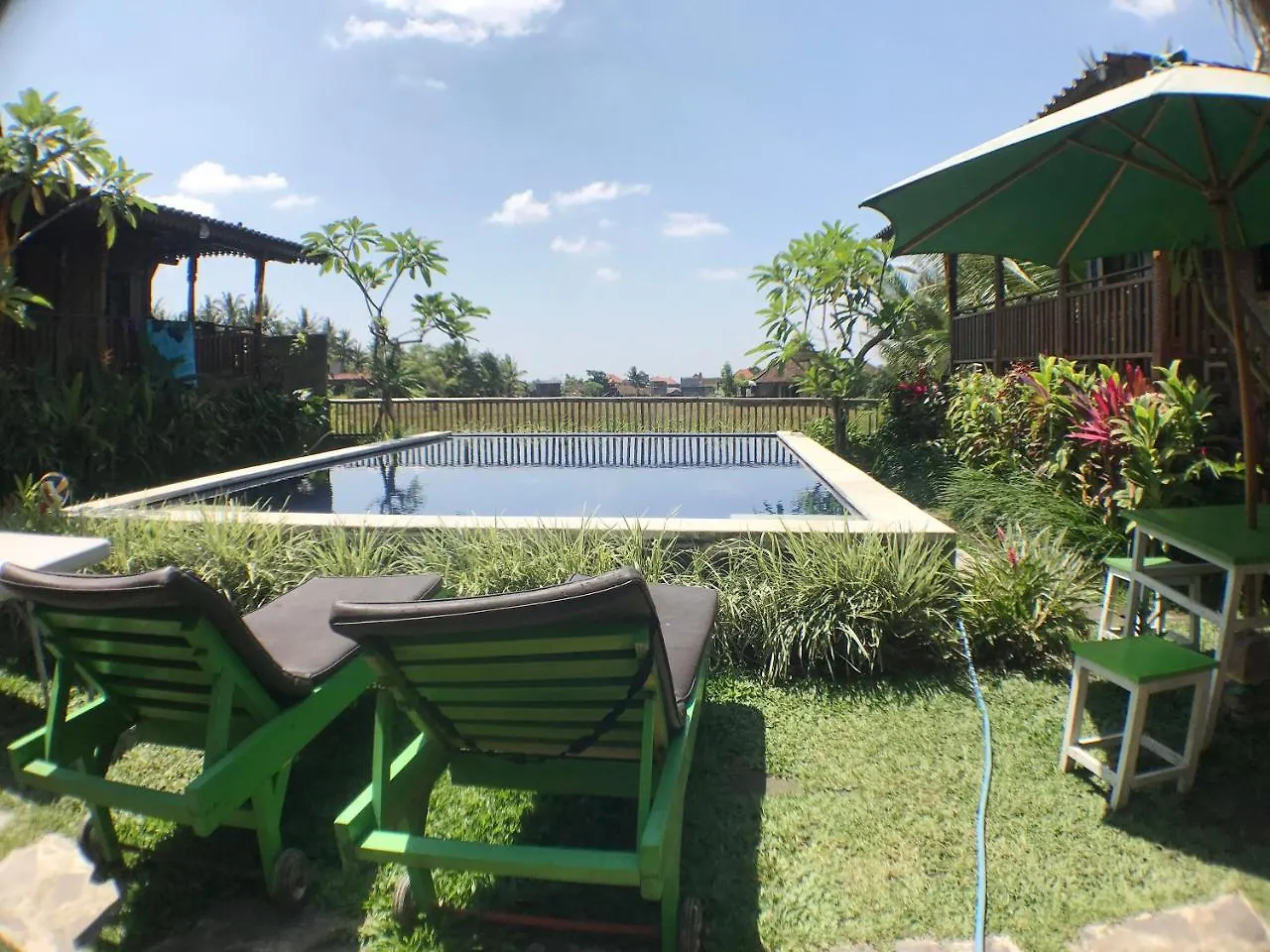 Green Paddy Hostel & Villa Ubud