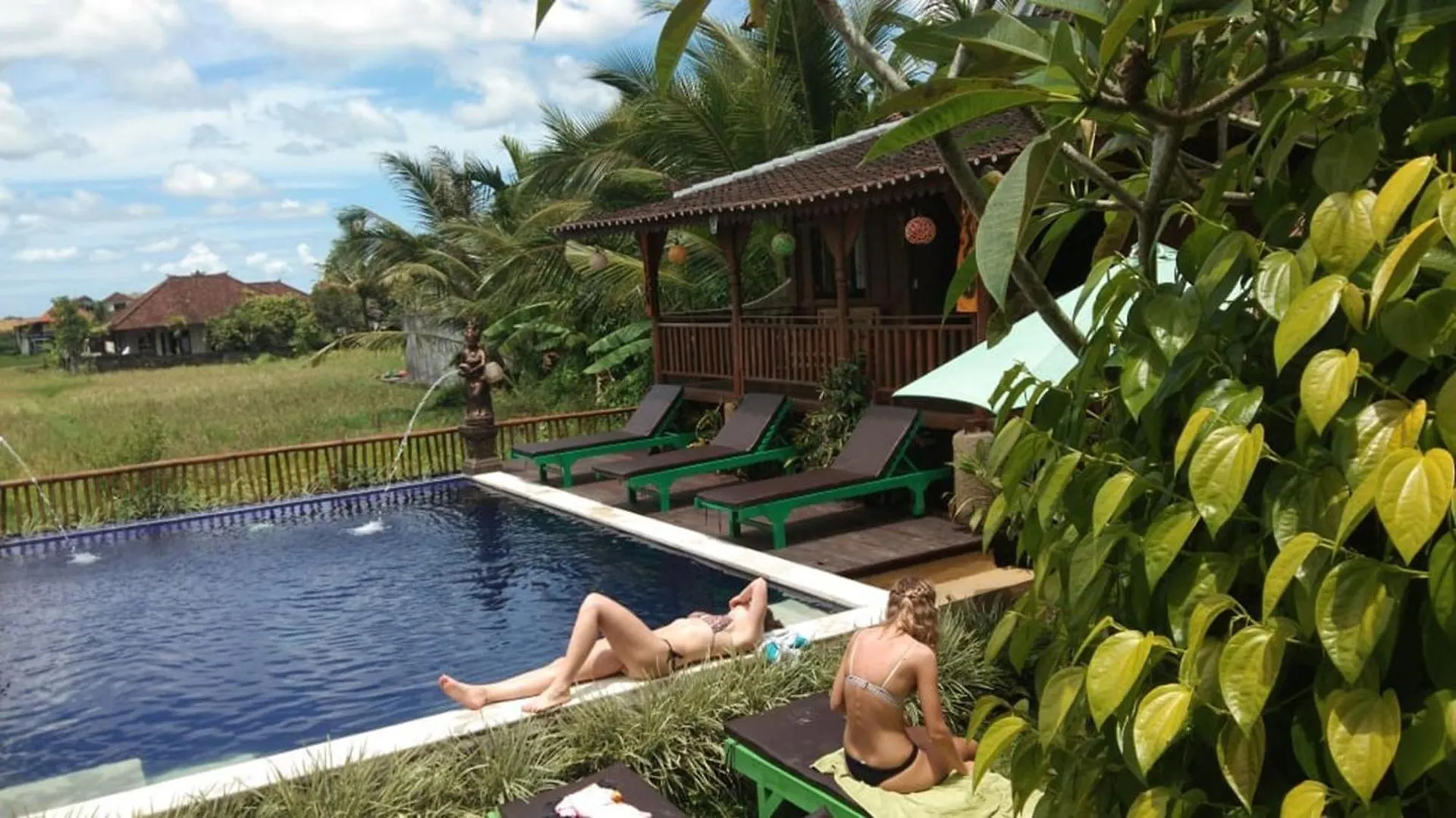 Green Paddy Hostel & Villa 乌布 印尼