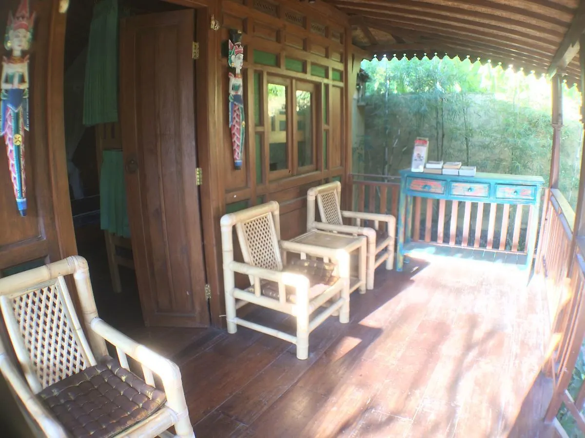 Green Paddy Hostel & Villa 乌布