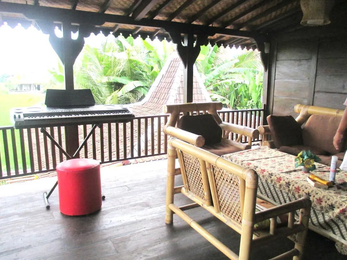 Green Paddy Hostel & Villa Ubud