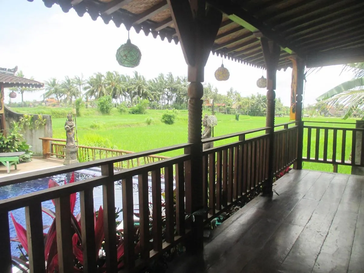 Green Paddy Hostel & Villa Ubud