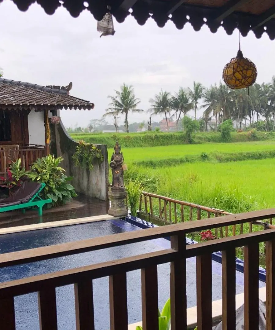 Green Paddy Hostel & Villa Ubud  0*, Ubud (Bali) Indonesia