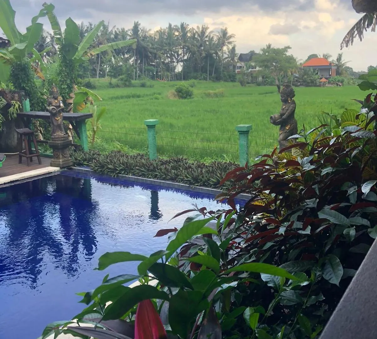 Green Paddy Hostel & Villa Ubud  0*, Ubud (Bali)