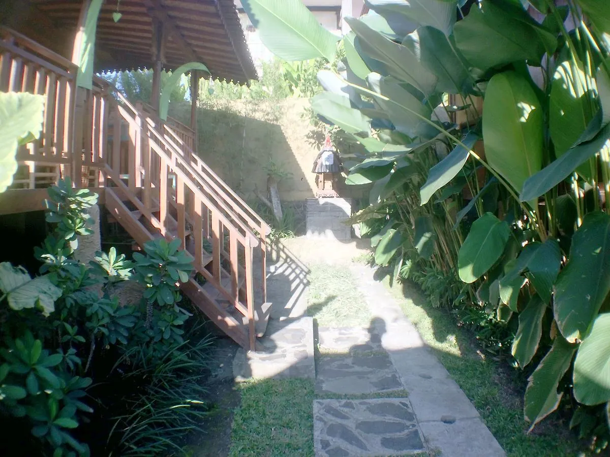 Green Paddy Hostel & Villa Ubud  0*, Ubud (Bali)