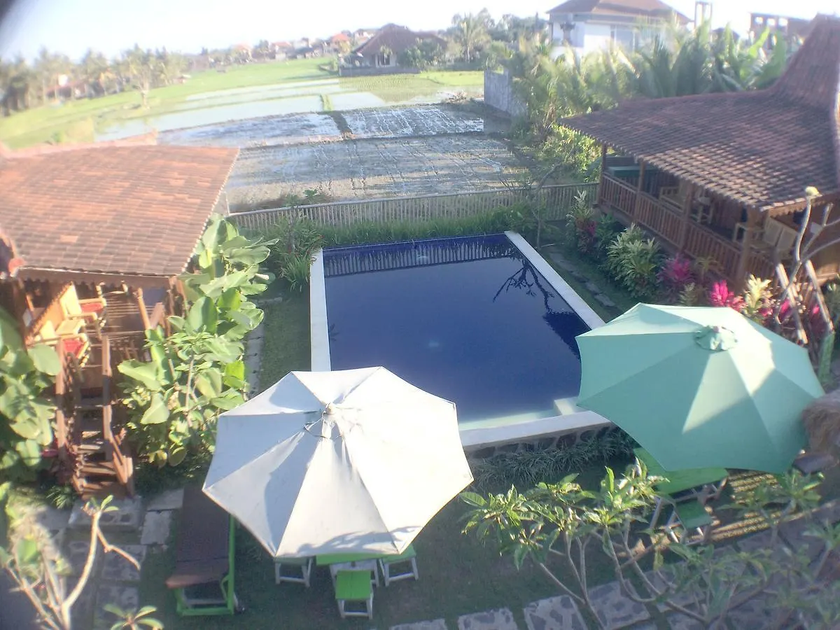 Green Paddy Hostel & Villa Ubud