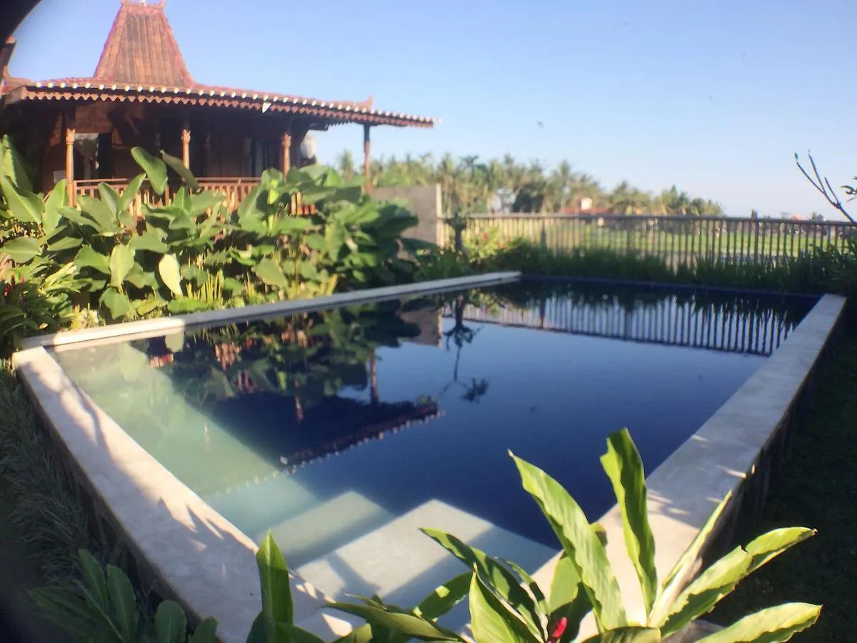 Green Paddy Hostel & Villa Ubud  0*, Ubud (Bali) Indonesia