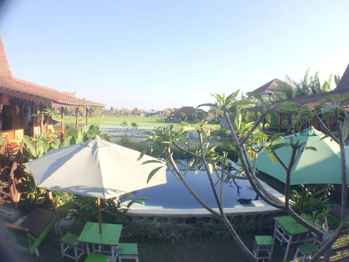 Green Paddy Hostel & Villa Ubud  Indonesia